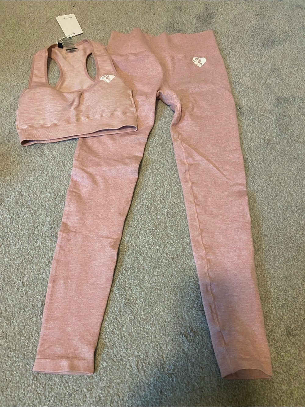 Women's Seamless Dusty Rose Active Leggings & Sports Bra Set